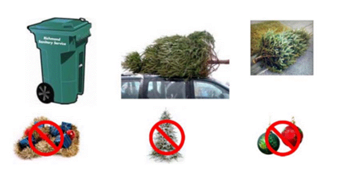 Green can